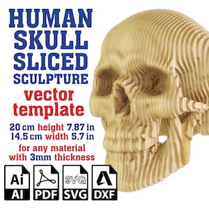 Plantilla vectorial de escultura de cráneo humano cortado, escultura de cráneo en cartón, escultura de anatomía, cráneo cortado con láser, paramétrico, Svg, Ai, Pdf, Dxf