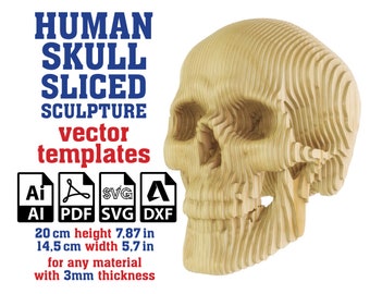 Human Skull Sculpture Sliced Vector template, Human Skull Cardboard Sculpture, Anatomy Sculpture, Laser Cut Vector Skull, Svg, Ai, Pdf, Dxf