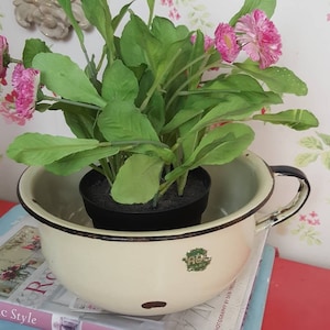 Può includere: Un vaso da notte color crema in stile vintage contiene una pianta in vaso con foglie verdi e fiori rosa. Il vaso da notte ha un bordo e un manico neri. La pianta è appoggiata su una pila di libri e un vassoio blu, con una carta da parati floreale.