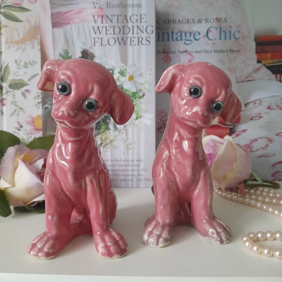 Il Cane Rosa Più Piccolo Del Negozio Di Animali