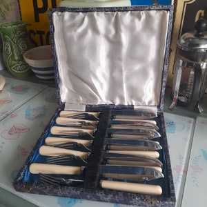 May include: A set of 10 silver-plated knives and forks with ivory-colored handles, stored in a blue velvet-lined case with a leopard print pattern.