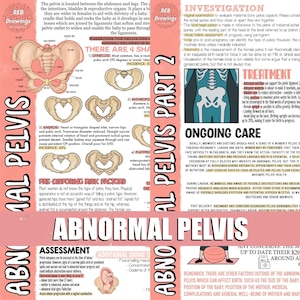 Póster de pelvis anormal durante el embarazo