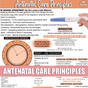 Antenatal Care Principles Notes