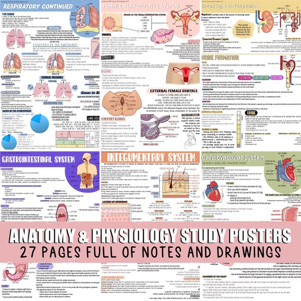 27 Anatomy and Physiology Revision Posters