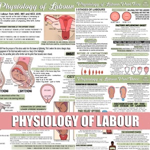 Physiology of Labour Notes