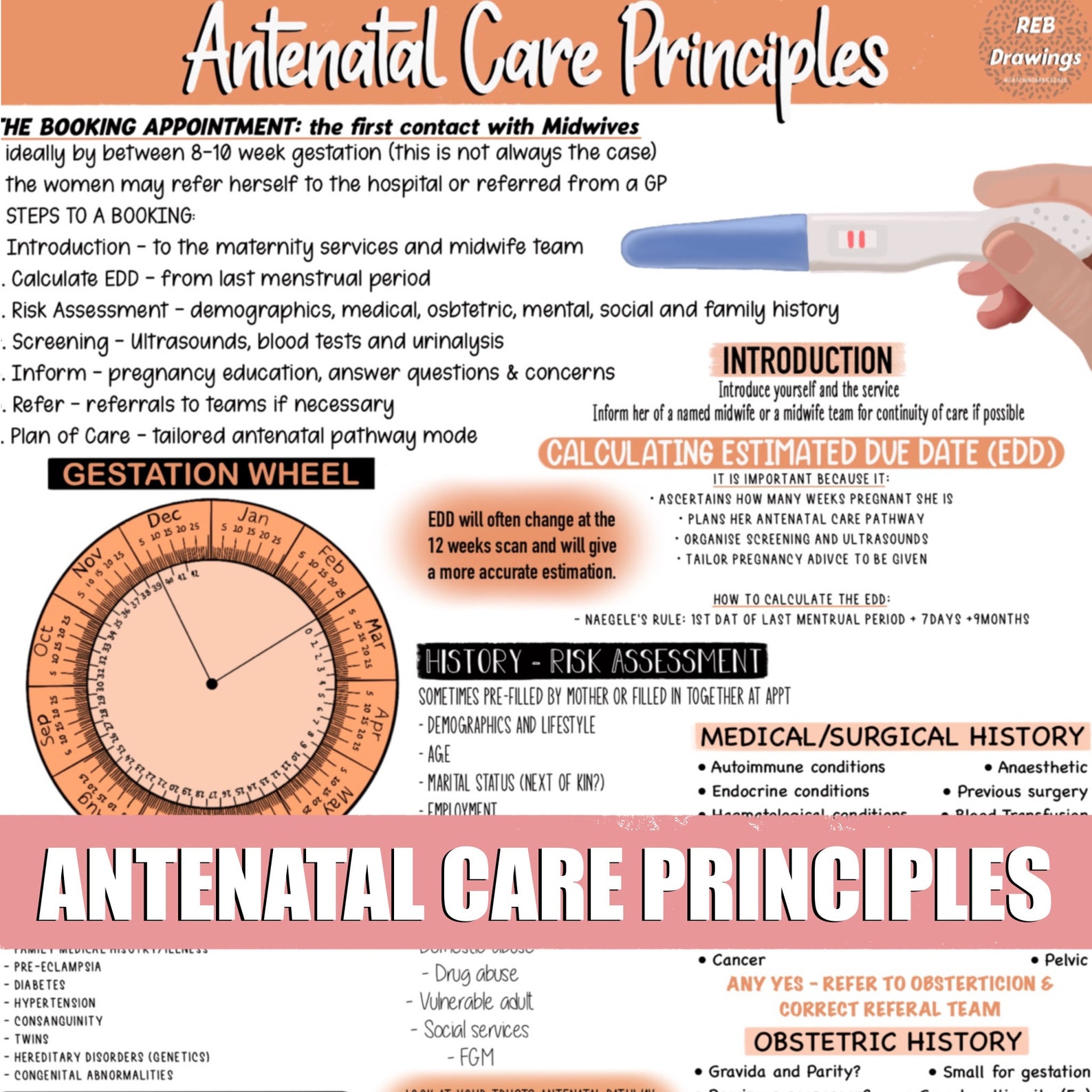 Antenatal Care Principles Revision Notes Etsy