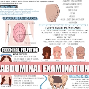 Póster de revisión del examen abdominal