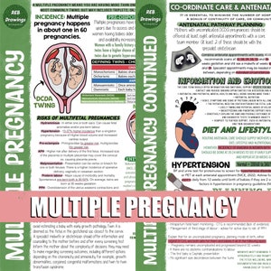 Póster de embarazo múltiple - Twin DCDA