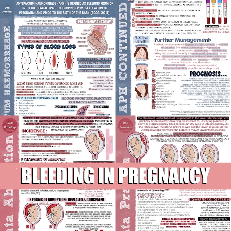Bleeding in Pregnancy - APH - Etsy