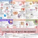 27 Anatomy and Physiology Revision Posters 