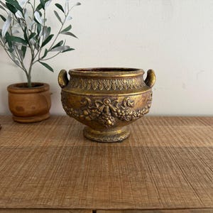 May include: A gold-colored, antique-style decorative urn with two handles. The urn features detailed relief carvings of grapes and other decorative elements. The urn is placed on a wooden surface, with a small potted plant and books in the background.