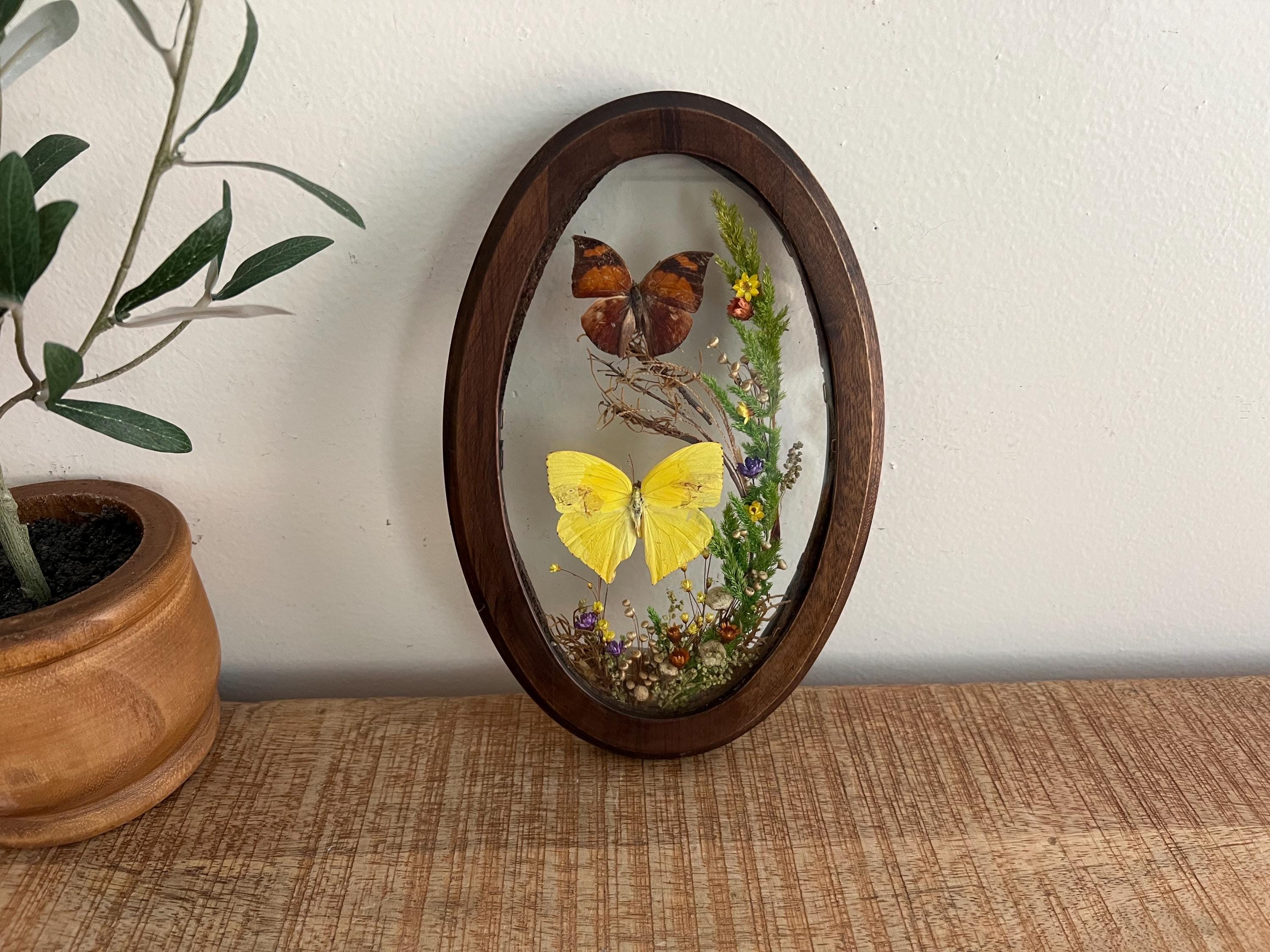 Vintage Wood Oval Dried Butterflies Flowers Made in Brazil Wall decor