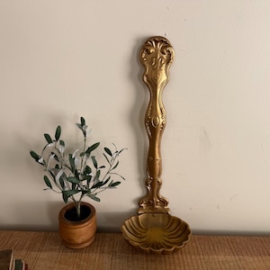 May include: A decorative, gold-colored spoon with an ornate handle and a shell-shaped bowl. The spoon is displayed vertically against a cream-colored wall. A small potted plant with green and silver leaves sits to the left.
