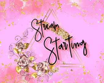 x5 Roze en Gouden Twitch OBS Statische Stream Scènes