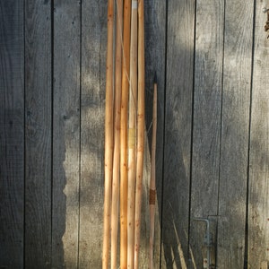 Mary Rose Yew warbow