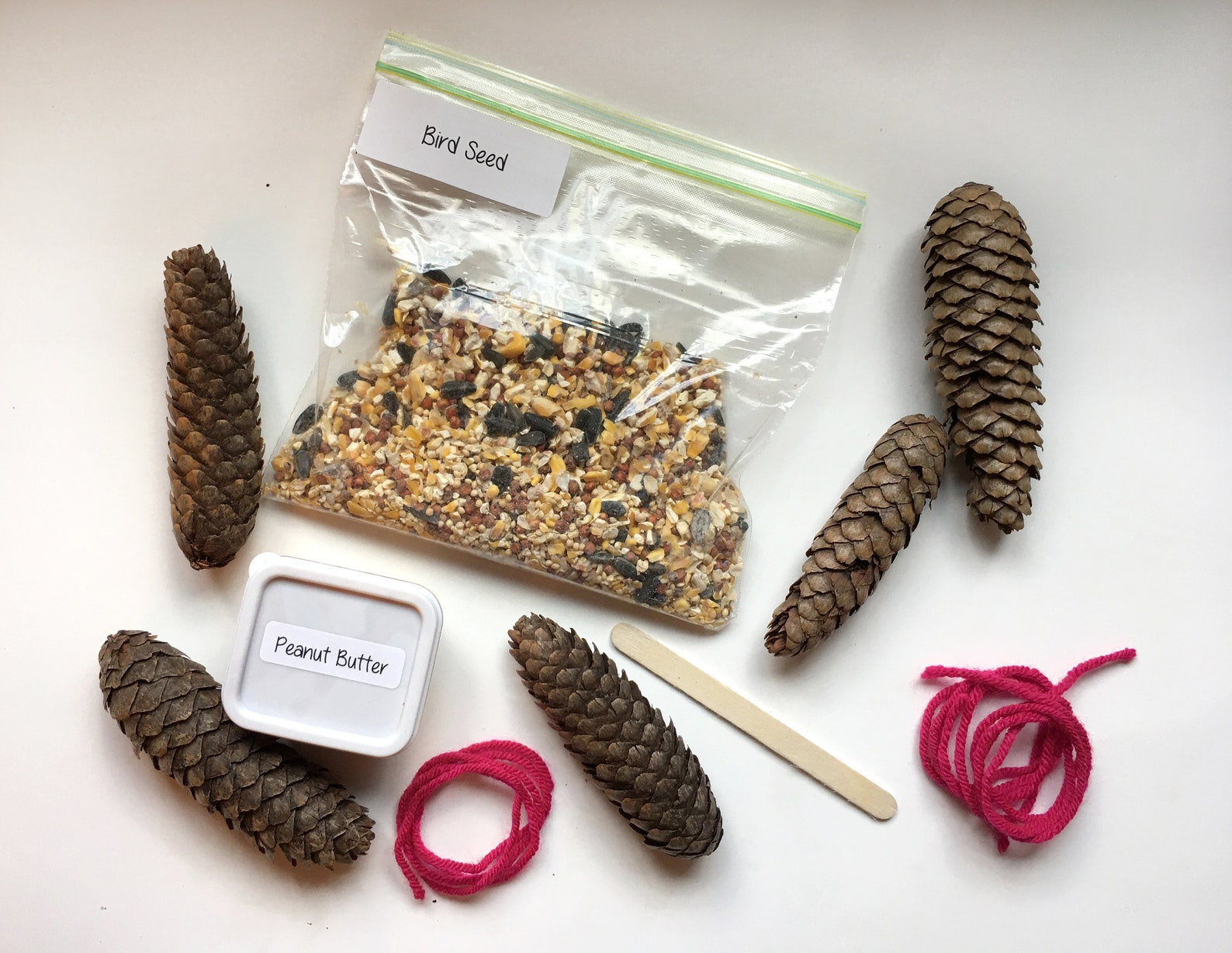 DIY Bird Feeder Kit DIY Kids Pinecone Wild Bird Feeder DIY Etsy