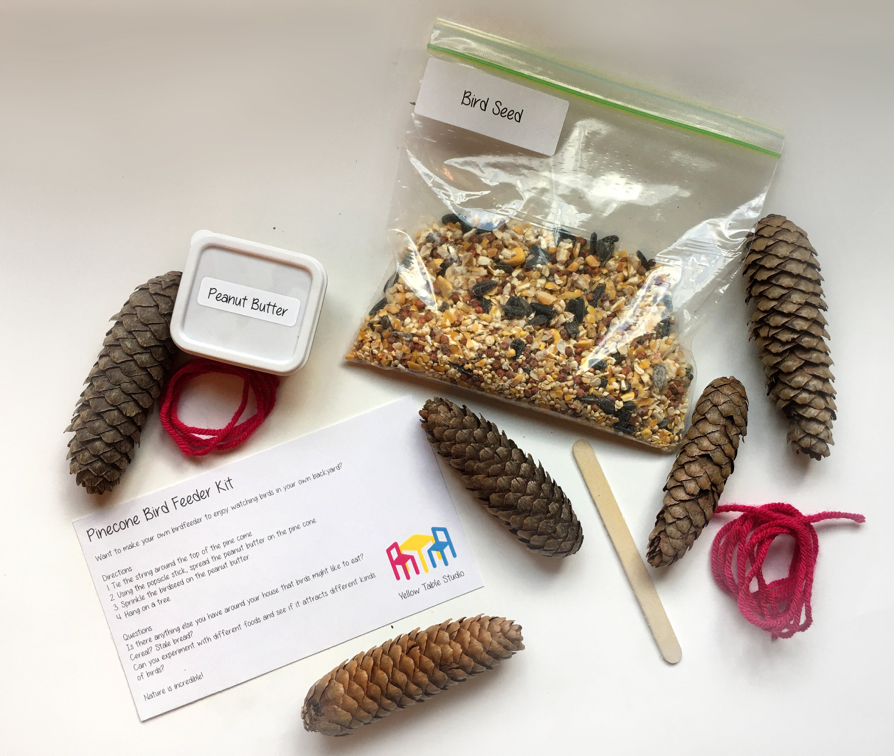 Bird Feeder Kit DIY Craft Kits for Kids Outdoor Game DIY Etsy