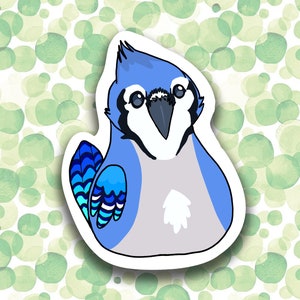Chonky Bird Sticker - Blue Jay - Birb - Borb - Birds