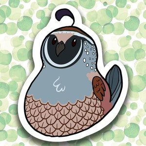 Chonky Bird Sticker - California Quail - Birb - Borb - Birds