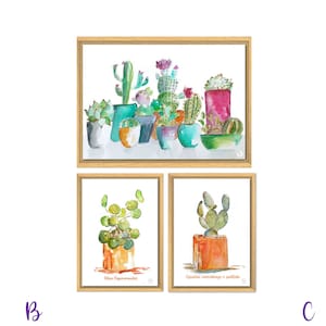 affiche cactus - cactus - pilea - illustration plantes