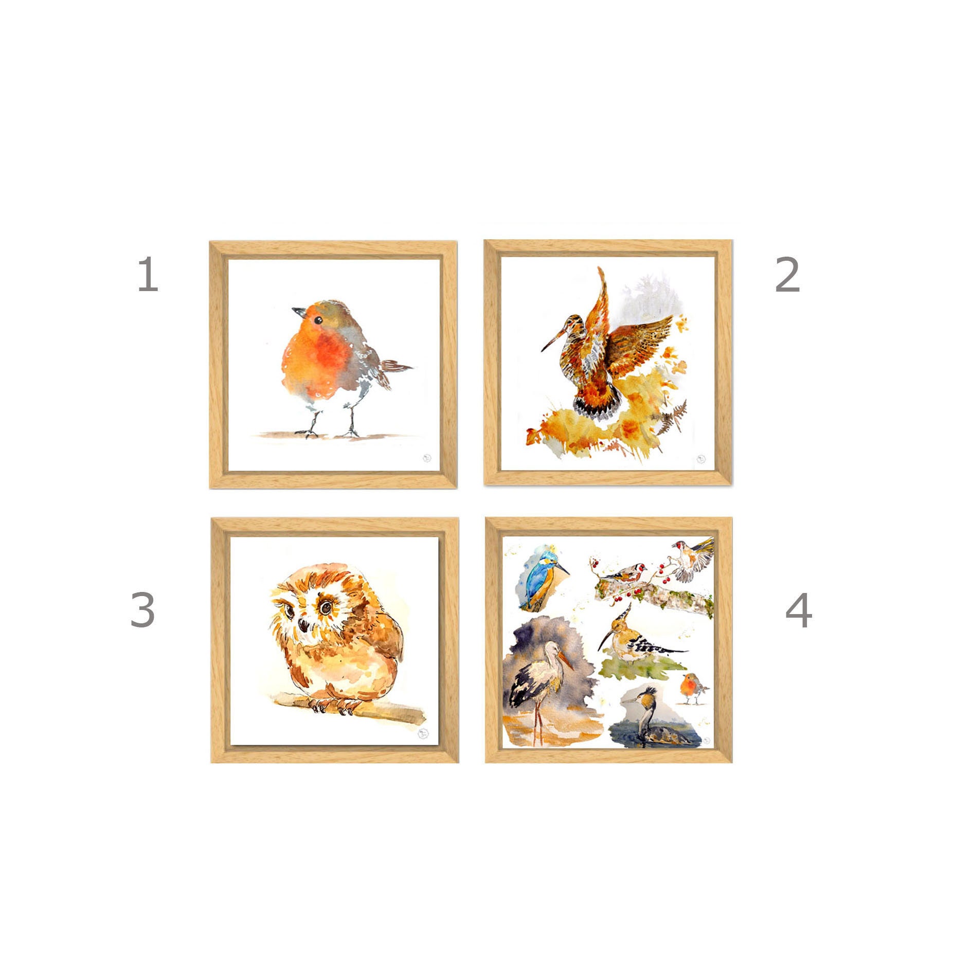 Tableau Oiseau - Affiche Rouge Gorge Cadeau Bécasse Décoration Chouette Aquarelle Oiseau