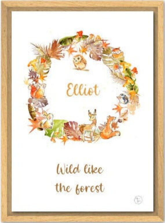 Affiche Naissance - Affiche Animaux Forêt Renard