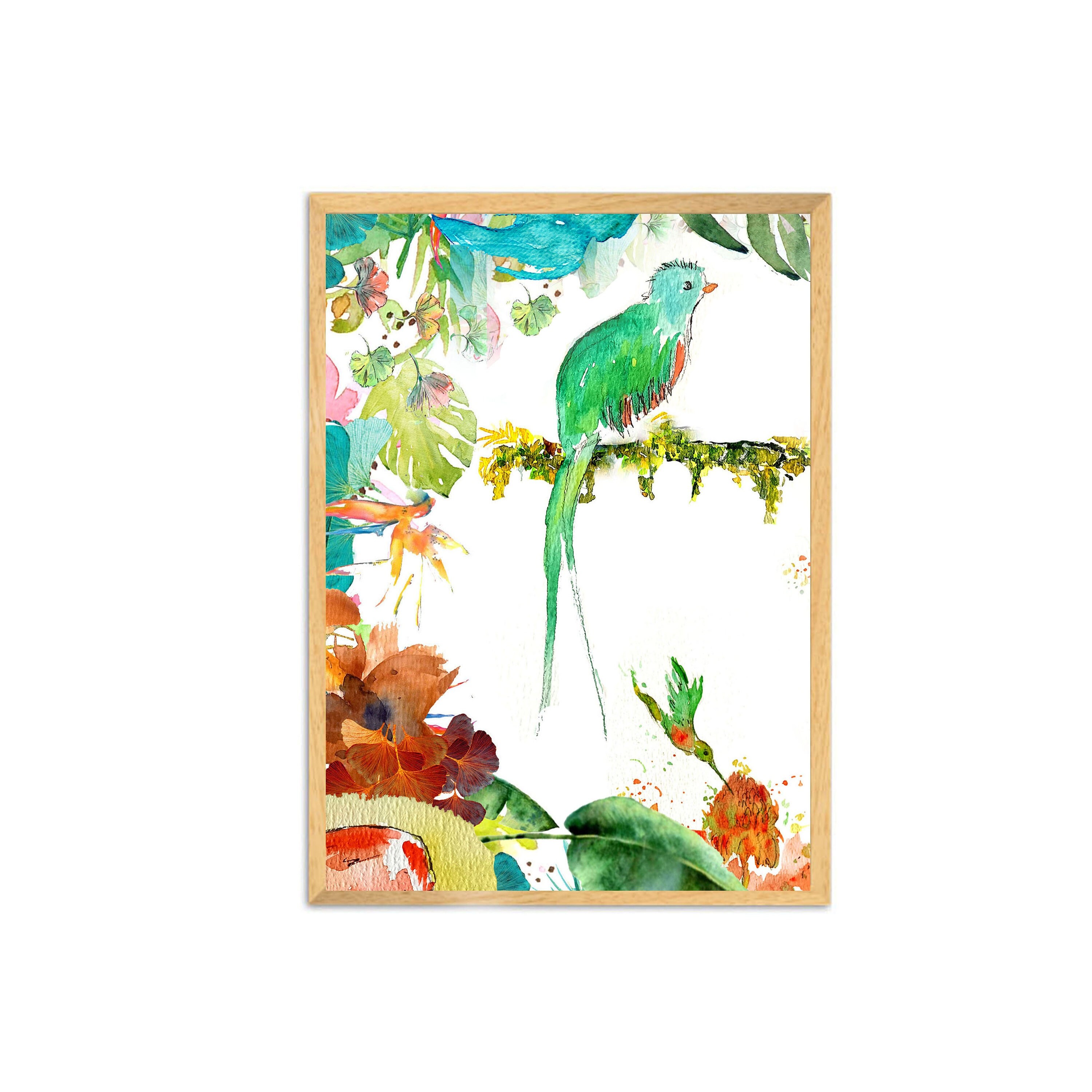Affiche Jungle Quetzal Oiseau Exotique