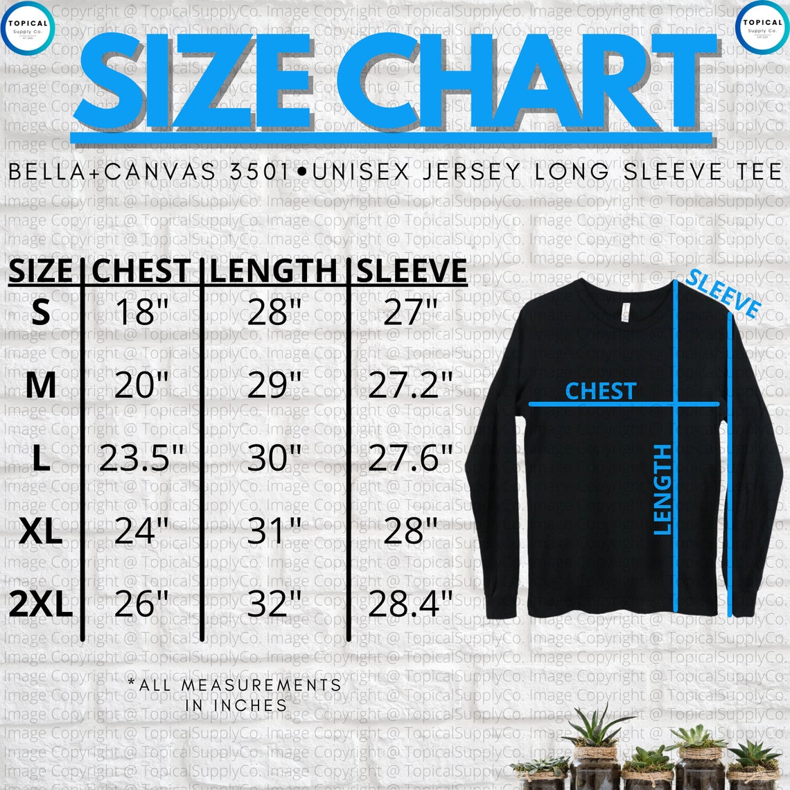 HQ Bella Canvas 3501 Size Chart BellaCanvas 3501 Unisex | Etsy