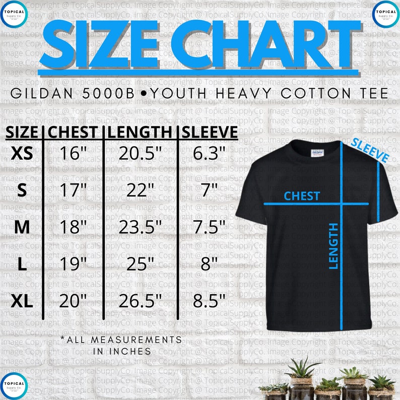 T Shirt Size Chart For In India