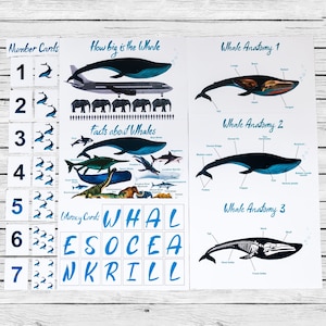 Blue Whale Mini Study, Nature Pack, Charlotte Mason Inspired Unit