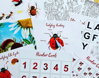 Ladybug Unit Study, Nature Pack, Charlotte Mason Inspired Unit