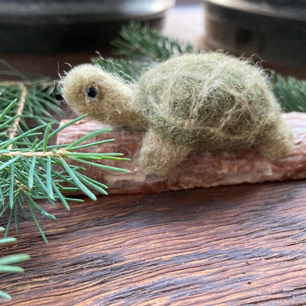 Tortue feutrée à l'aiguille sur une bûche
