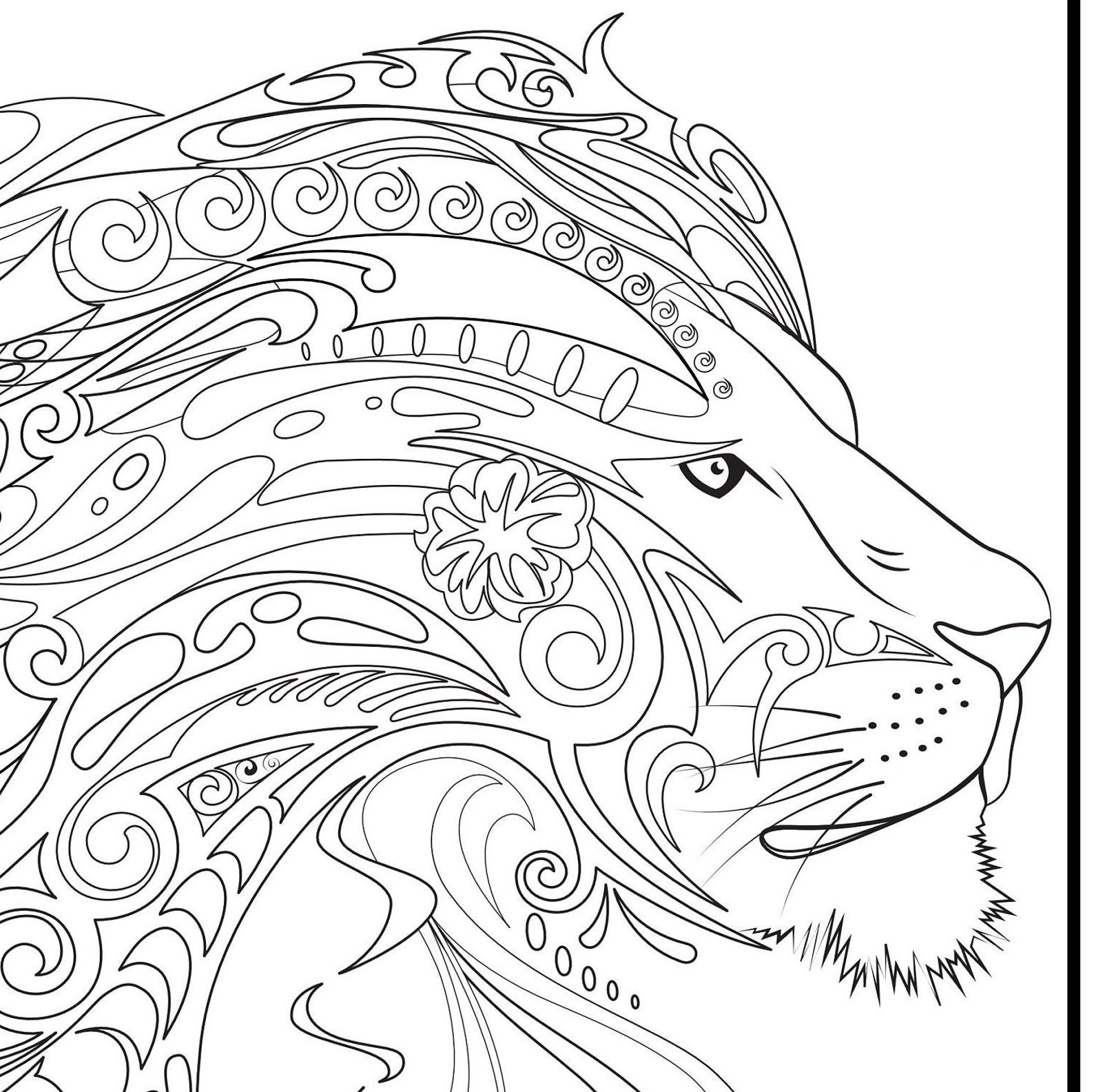 Lion Head Colouring Sheet DOWNLOAD - Etsy New Zealand