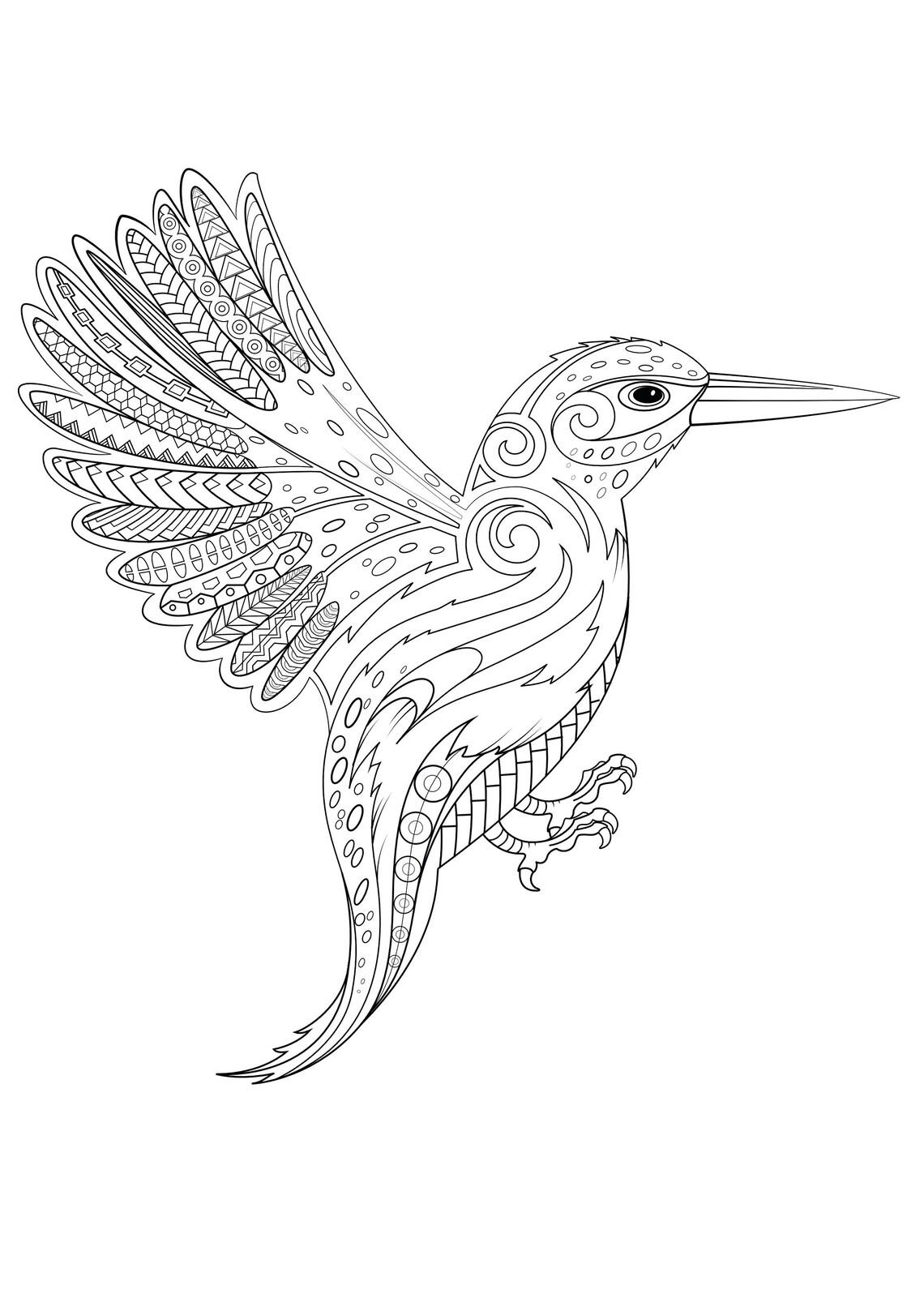 Kingfisher Colouring Sheet DOWNLOAD Etsy