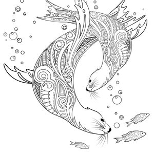 Seal Colouring Sheet DOWNLOAD