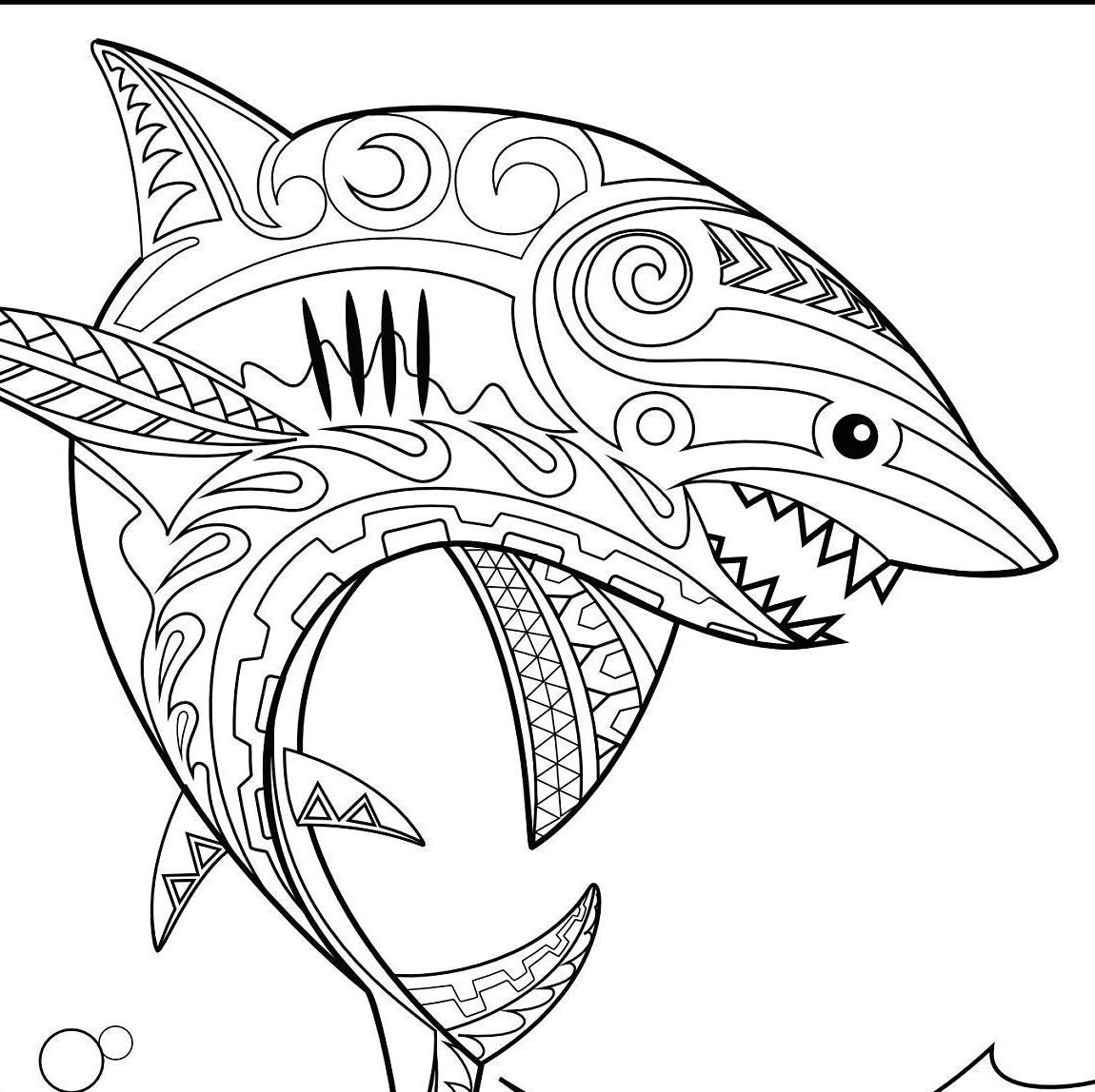 Great White Shark Colouring Sheet DOWNLOAD - Etsy UK