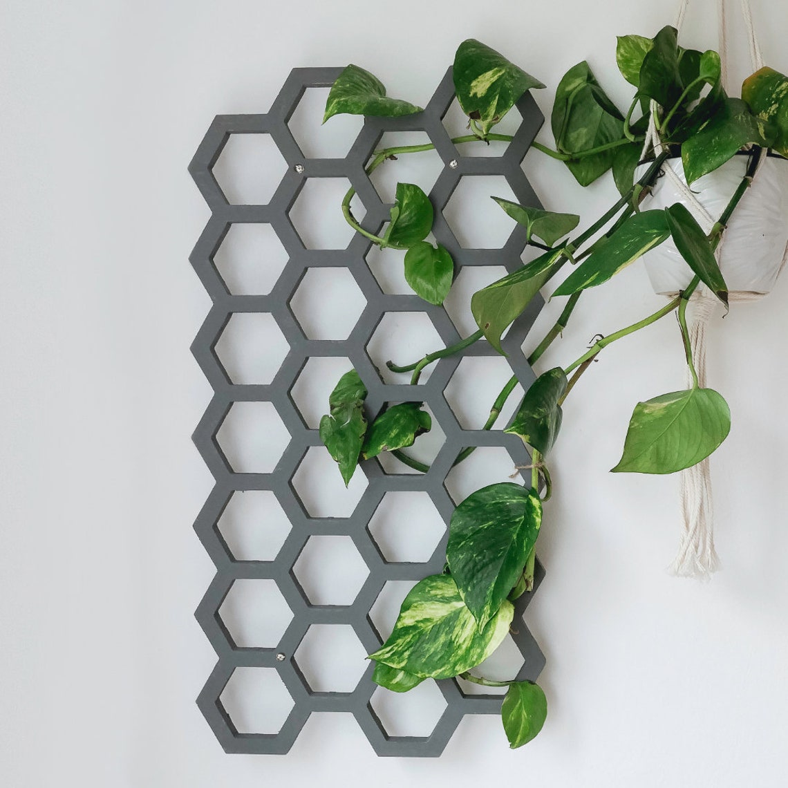 Indoor Plant Trellis Variation Houseplant and Home Etsy