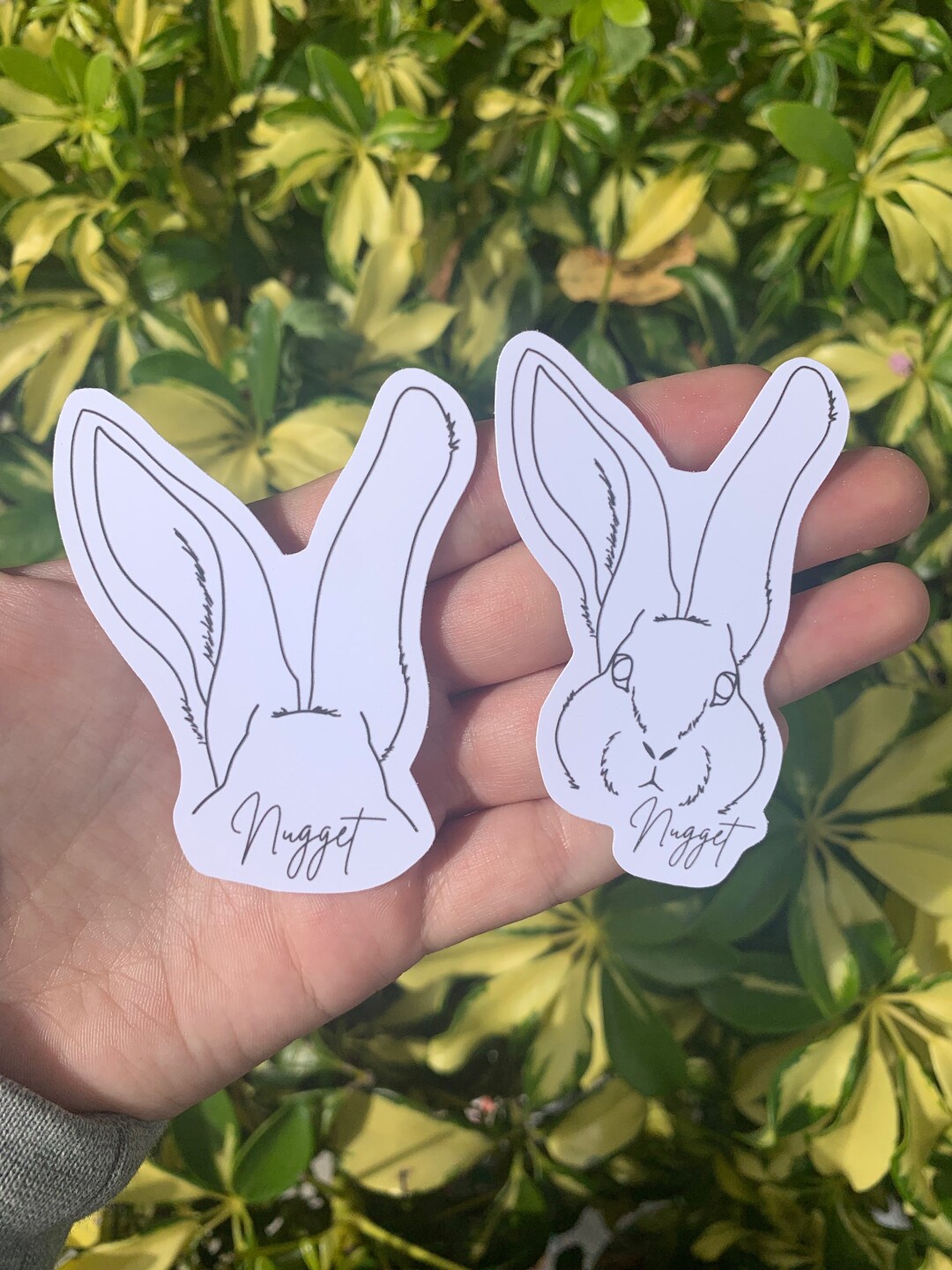 Custom Dog Ear Decal/ Dog Ear Sticker/ Personalized Dog Ear Etsy