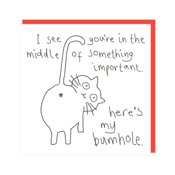 May include: A white greeting card with a red border features a whimsical cat illustration. The cat is drawn in black and white with the text "I see you're in the middle of something important. Here's my bumhole."