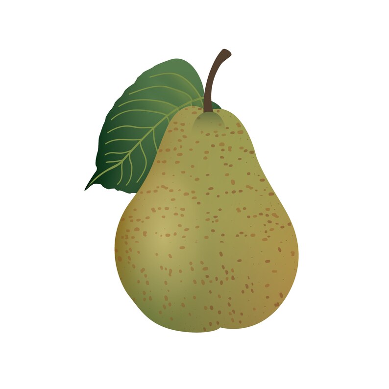 Pack of 42 x fabric wall decals / Peel and stick Fruit Pear design image 4