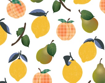 18 x fruit salad removable wall sticker