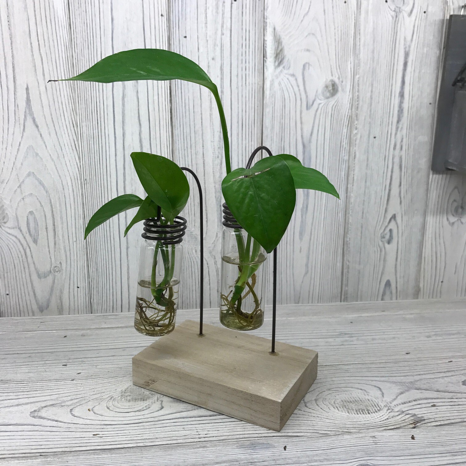 Bird Vase Hydroponic Plant Holder Flower Pot for Cafe Shop Home Office Decor 