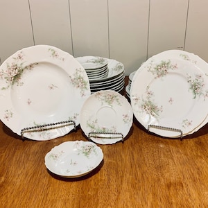 Haviland Limoges France Schleiger Pink Floral, Porcelain
