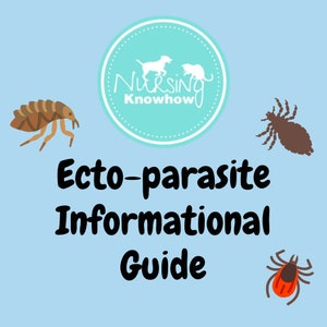 Tierärztin & Tierarzthelferin Ecto-Parasit Information Guide Dyslexia Blue