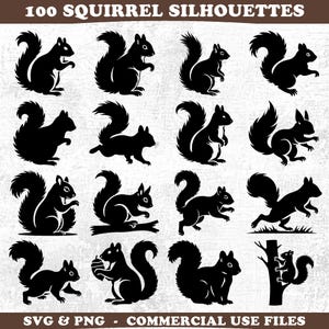 Może przedstawiać: Czarne sylwetki wiewiórek w różnych pozach, w tym bieganie, siedzenie i trzymanie orzecha. Obraz zawiera tekst "100 SQUIRREL SILHOUETTES" na górze i "SVG & PNG - COMMERCIAL USE FILES" na dole.