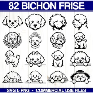 May include: Sixteen black and white Bichon Frise dog illustrations in different poses. The image includes the text "82 BICHON FRISE" at the top and "SVG & PNG - COMMERCIAL USE FILES" at the bottom, suitable for commercial use.