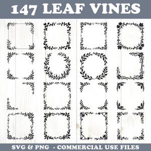 Puede incluir: Colección de 147 diseños de hojas de vid negras, incluyendo marcos cuadrados, esquinas y coronas circulares. El texto "147 LEAF VINES" está en la parte superior, con "SVG & PNG - COMMERCIAL USE FILES" en la parte inferior.