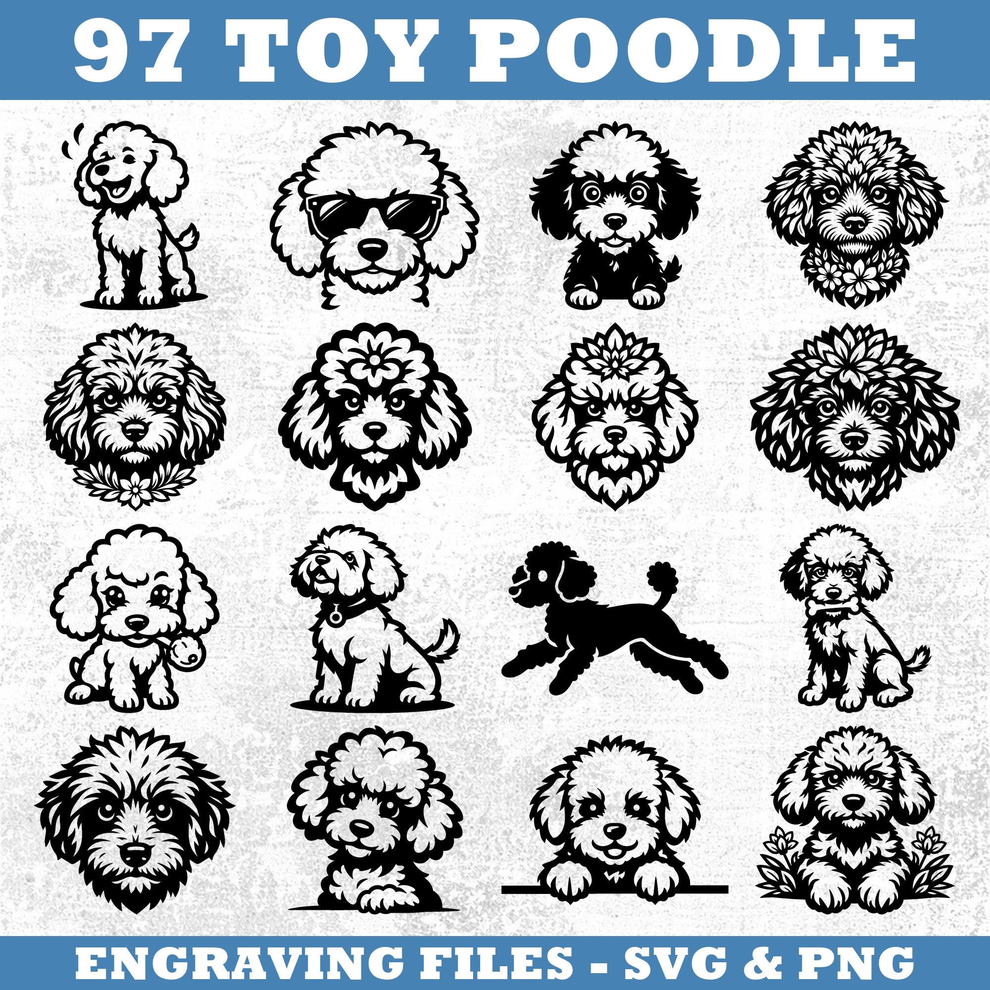 Toy Poodle Dog Svg & Png Bundle for Cricut and Laser Engrave Projects ...