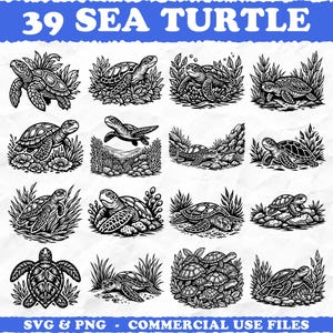 Puede incluir: Dieciséis ilustraciones en blanco y negro de tortugas marinas. La imagen incluye el texto "39 SEA TURTLE" en una pancarta azul en la parte superior y "SVG & PNG - COMMERCIAL USE FILES" en la parte inferior.