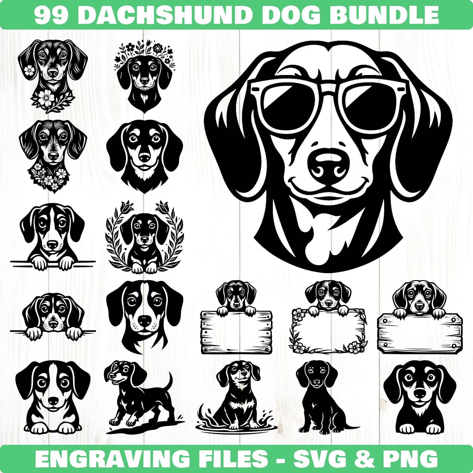 Dachshund Dog Svg & Png Bundle for Cricut and Laser Engrave Projects ...
